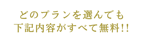 どのプランを選んでも 下記内容がすべて無料!!